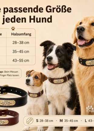 Edles Hundehalsband aus Rindsleder mit Gravur Name und Telefon