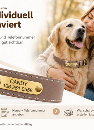 Wunderschönes Reflektions Hundehalsband mit Namen graviert
