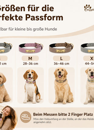 Wunderschönes Reflektions Hundehalsband mit Namen graviert