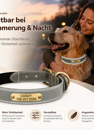 Wunderschönes Reflektions Hundehalsband mit Namen graviert