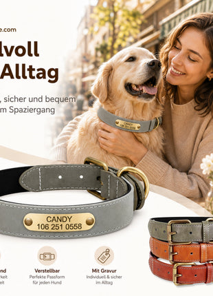 Wunderschönes Reflektions Hundehalsband mit Namen graviert