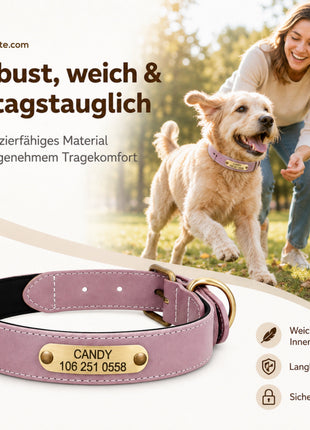 Wunderschönes Reflektions Hundehalsband mit Namen graviert