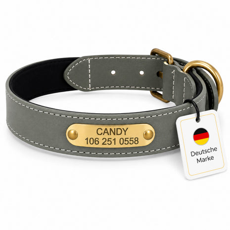 Beautiful reflective dog collar engraved with name