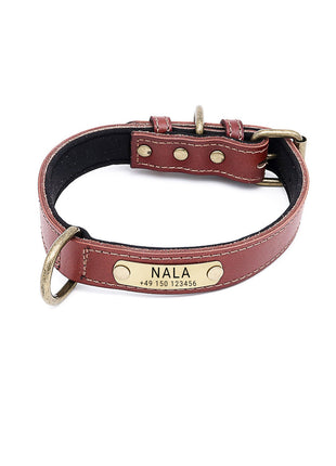 Hundehalsband mit Namen auf Messingschild aus hochwertigem Leder, Innenpolsterung aus Neopren, 2 massive D-Ringe