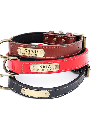 Hundehalsband mit Namen auf Messingschild aus hochwertigem Leder, Innenpolsterung aus Neopren, 2 massive D-Ringe