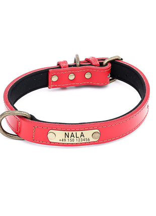 Hundehalsband mit Namen auf Messingschild aus hochwertigem Leder, Innenpolsterung aus Neopren, 2 massive D-Ringe