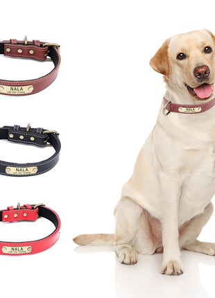 Hundehalsband mit Namen auf Messingschild aus hochwertigem Leder, Innenpolsterung aus Neopren, 2 massive D-Ringe