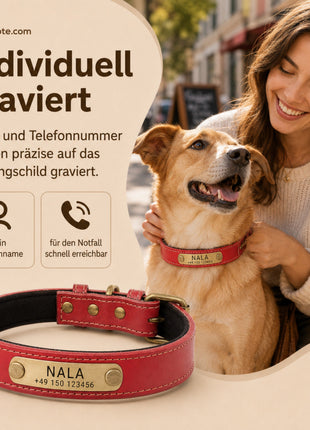 Hundehalsband mit Namen auf Messingschild aus hochwertigem Leder, Innenpolsterung aus Neopren, 2 massive D-Ringe