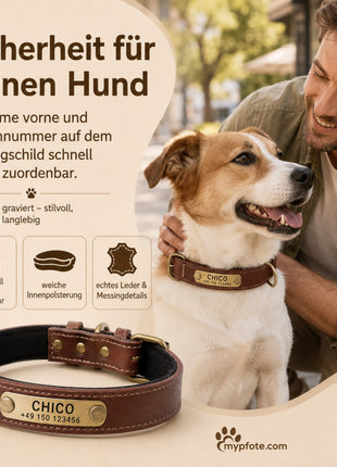 Hundehalsband mit Namen auf Messingschild aus hochwertigem Leder, Innenpolsterung aus Neopren, 2 massive D-Ringe