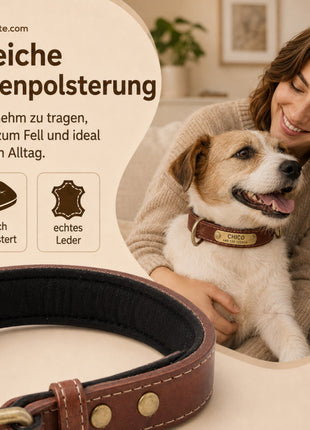 Hundehalsband mit Namen auf Messingschild aus hochwertigem Leder, Innenpolsterung aus Neopren, 2 massive D-Ringe