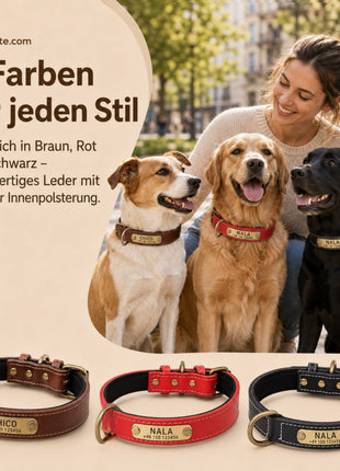 Hundehalsband mit Namen auf Messingschild aus hochwertigem Leder, Innenpolsterung aus Neopren, 2 massive D-Ringe