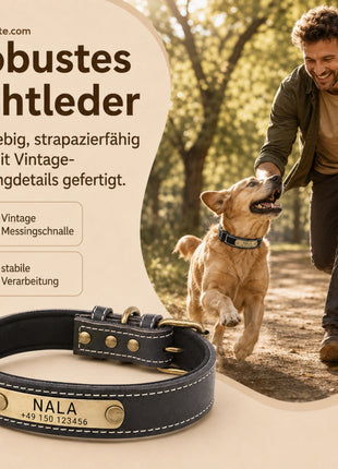 Hundehalsband mit Namen auf Messingschild aus hochwertigem Leder, Innenpolsterung aus Neopren, 2 massive D-Ringe