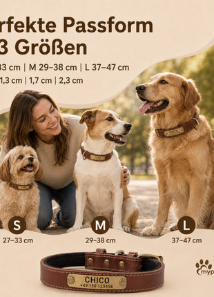 Hundehalsband mit Namen auf Messingschild aus hochwertigem Leder, Innenpolsterung aus Neopren, 2 massive D-Ringe