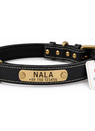 Hundehalsband mit Namen auf Messingschild aus hochwertigem Leder, Innenpolsterung aus Neopren, 2 massive D-Ringe