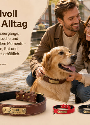 Hundehalsband mit Namen auf Messingschild aus hochwertigem Leder, Innenpolsterung aus Neopren, 2 massive D-Ringe