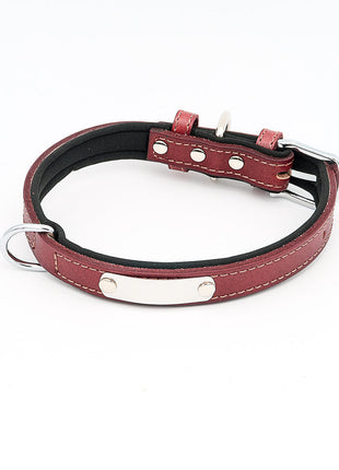 Hundehalsband mit Namen aus hochwertigem Leder, Innenpolsterung aus Neopren, 2 massive D-Ringe