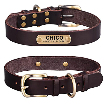 Echtleder Hundehalsband mit Messingschnalle in vier Farben und gratis Gravur Name und Telefon