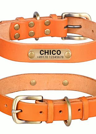 Echtleder Hundehalsband mit Messingschnalle in vier Farben und gratis Gravur Name und Telefon