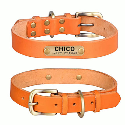 Echtleder Hundehalsband mit Messingschnalle in vier Farben und gratis Gravur Name und Telefon
