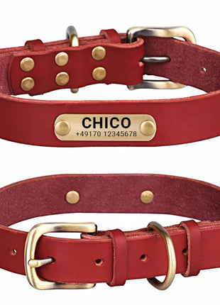Echtleder Hundehalsband mit Messingschnalle in vier Farben und gratis Gravur Name und Telefon