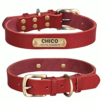 Echtleder Hundehalsband mit Messingschnalle in vier Farben und gratis Gravur Name und Telefon