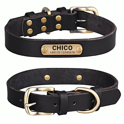 Echtleder Hundehalsband mit Messingschnalle in vier Farben und gratis Gravur Name und Telefon
