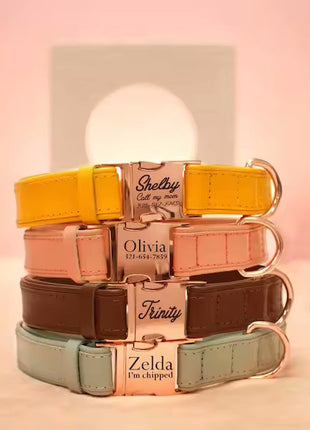 Veganes Hundehalsband mit Namen und Telefonnummer in starken Farben