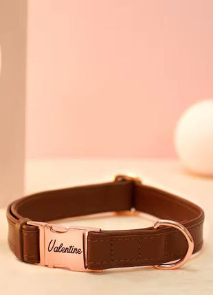 Veganes Hundehalsband mit Namen und Telefonnummer in starken Farben