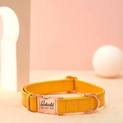 Veganes Hundehalsband mit Namen und Telefonnummer in starken Farben