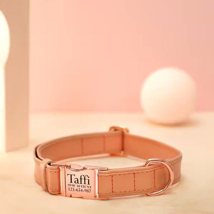 Veganes Hundehalsband mit Namen und Telefonnummer in starken Farben