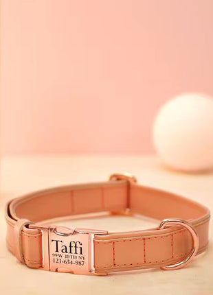 Veganes Hundehalsband mit Namen und Telefonnummer in starken Farben