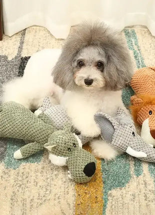Süßes Hundespielzeug Kuscheltier, Aportier Spielzeug mit Quitschfunktion