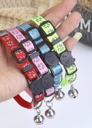 Katzenhalsband mit Name und Telefonnummer graviert