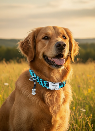 Paracord Hundhalsband "Auron" mit Gravur von Name und Telefon auf der Schnalle, drei verschiedene Größen