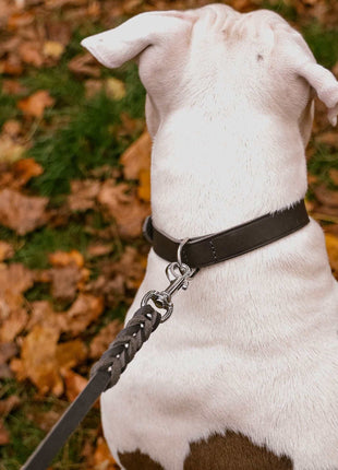 Hundeleine Soft Leder mit Handschlaufe und geflochtenen Element