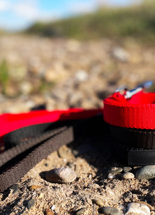 Hundeleine UM'S ECK (1,50 m) aus BioThane®/POP - Band