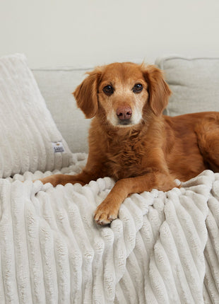 Kuscheldecke VÄRME Breitcord