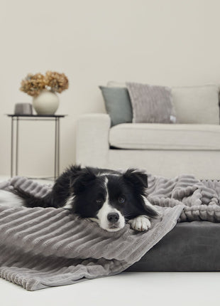 Kuscheldecke VÄRME Breitcord