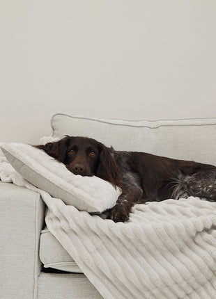 Kuscheldecke VÄRME Breitcord