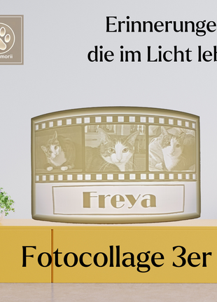 Dein persönlicher Haustier-Filmstreifen