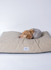 Beige - Teddy / S
