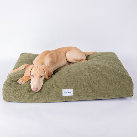 Hundebett Teddy