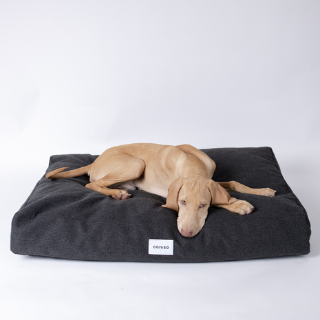 Hundebett Clean