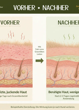 Grasmilben Lotion