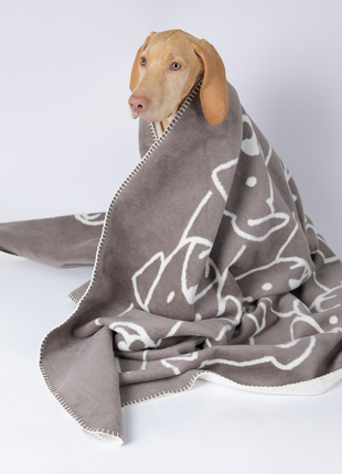 Decke Caruso Dogs
