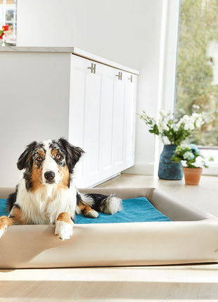 Einlage für KUDDE MUMIN Alltid