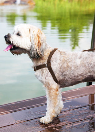Anti-Stress-Geschirr STURMFREI®, Größe XXS
