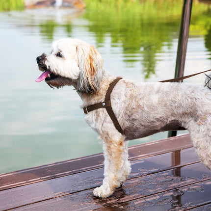 Anti-Stress-Geschirr STURMFREI®, Größe XS