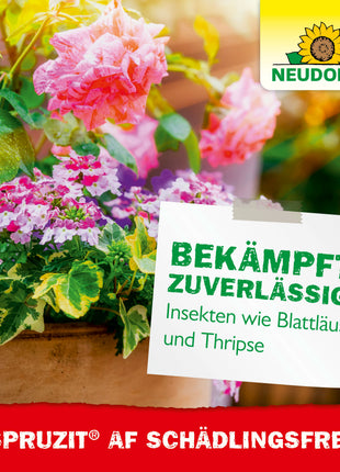 Neudorff Spruzit AF Schädlingsfrei 250 ml