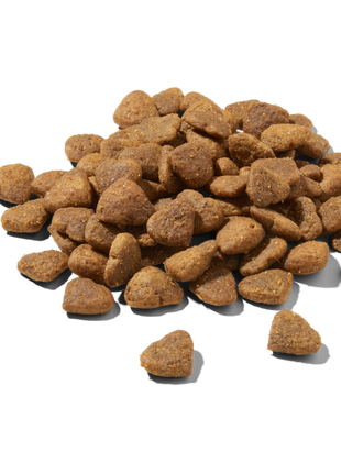 Premium Trockenfutter Huhn